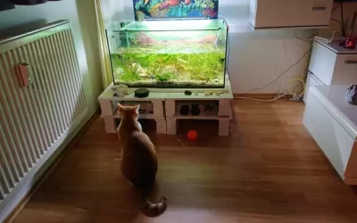 Mobili per acquario con pedane